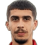 Влазния Шкодер