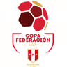 Copa Federacion