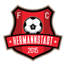 AFC Hermannstadt