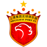 SHANGHAI SIPG